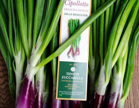 cipollotto tenute zuccarella