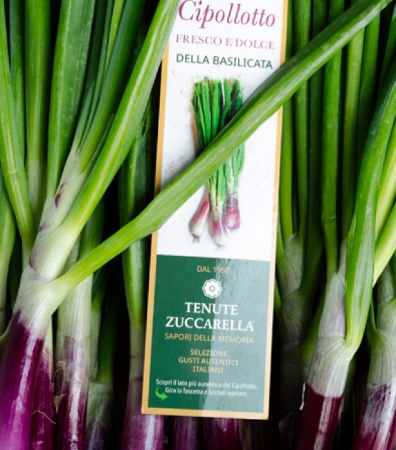 cipollotto tenute zuccarella