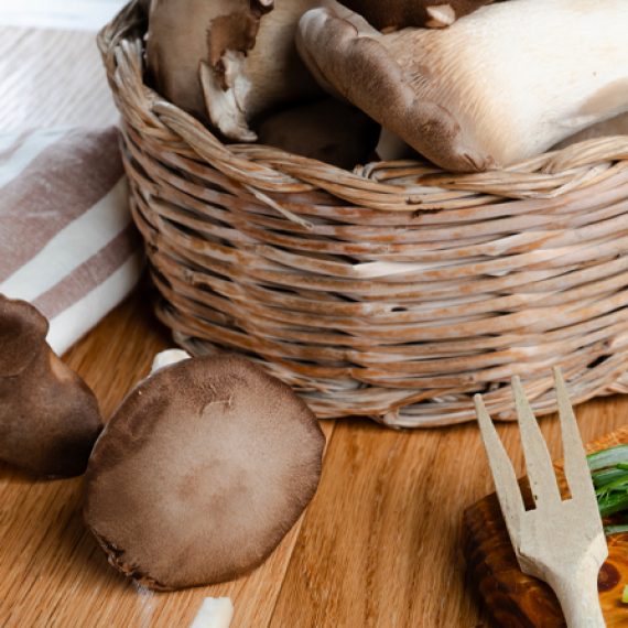 funghi cardoncelli tenute zuccarella funghi cardoncelli tenute zuccarella