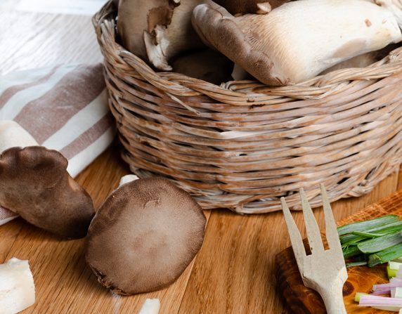 funghi cardoncelli tenute zuccarella