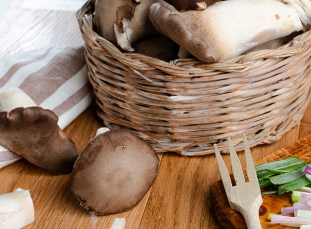 funghi cardoncelli tenute zuccarella