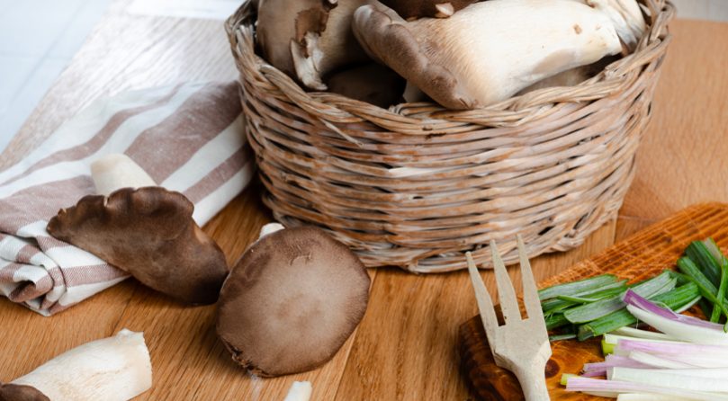 funghi cardoncelli tenute zuccarella funghi cardoncelli tenute zuccarella