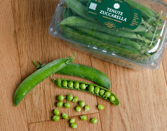 piselli tenute zuccarella