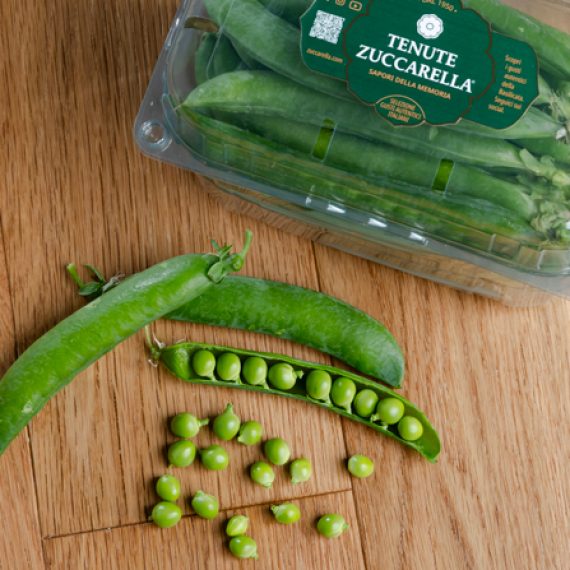 piselli tenute zuccarella piselli tenute zuccarella